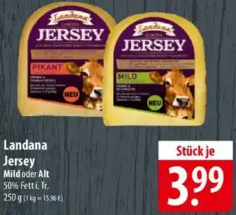 Famila Nord Ost Landana Jersey Angebot