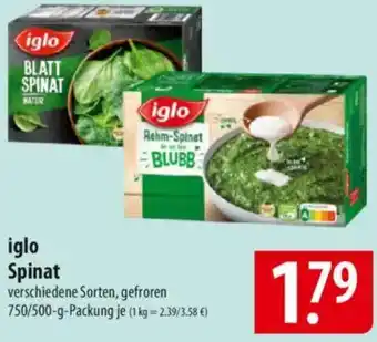 Famila Nord Ost iglo Spinat Angebot