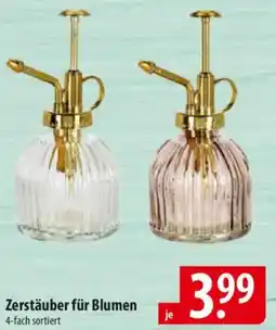 Famila Nord Ost Zerstäuber für Blumen Angebot