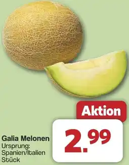 Famila Nord West Galia Melonen Angebot
