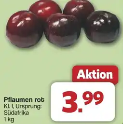 Famila Nord West Pflaumen rot Angebot