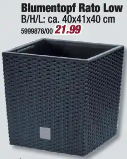 Poco Prosperplast Blumentopf Rato Low Angebot