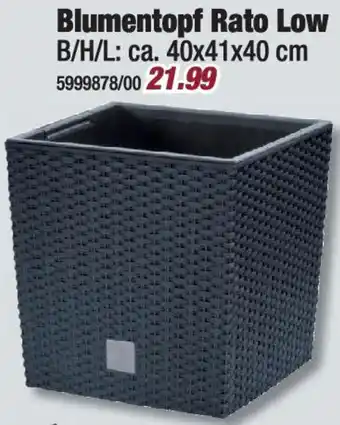 Poco Prosperplast Blumentopf Rato Low Angebot