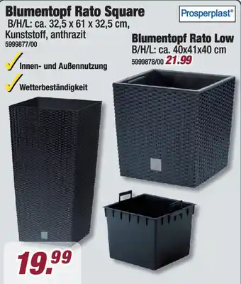 Poco Prosperplast Blumentopf Rato Square Angebot