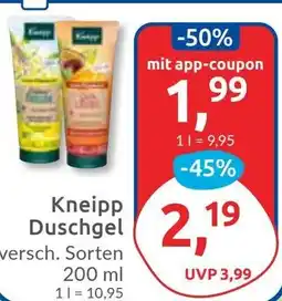 Budni Kneipp Duschgel Angebot