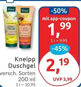 Budni Kneipp Duschgel Angebot