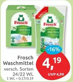 Budni Frosch Waschmittel Angebot