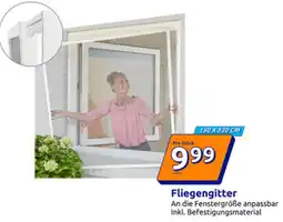 Action Fliegengitter Angebot