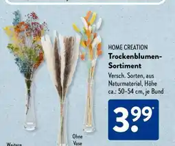 Aldi Süd HOME CREATION Trockenblumen-Sortiment Angebot