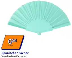 Action Spanischer Fächer Angebot