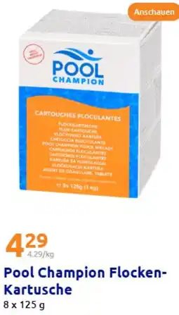 Action Pool Champion Flocken Kartusche Angebot