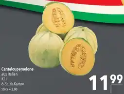 CITTI Markt Cantaloupemelone Angebot