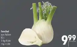 CITTI Markt Fenchel Angebot