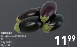 CITTI Markt Aubergine Angebot