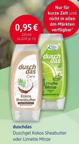 dm drogerie Duschdas duschgel kokos sheabutter oder limette minze Angebot