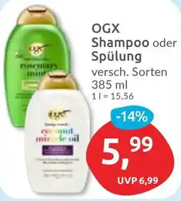 Budni OGX Shampoo oder Spülung Angebot
