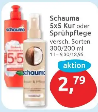 Budni Schauma 5x5 Kur oder Sprühpflege Angebot