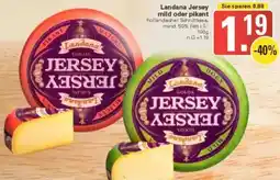 WEZ Landana Jersey mild oder pikant Angebot
