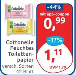 Budni Cottonelle Feuchtes Toilettenpapier Angebot