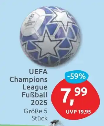 Budni UEFA Champions League Fußball 2025 Angebot