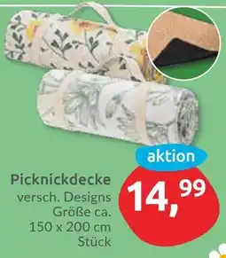 Budni Picknickdecke Angebot