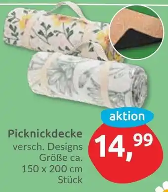 Budni Picknickdecke Angebot