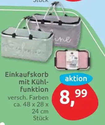 Budni Einkaufskorb mit Kühlfunktion Angebot