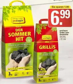 WEZ proFagus Grillis oder Holzkohle Angebot