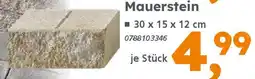 Globus Baumarkt Mauerstein Angebot