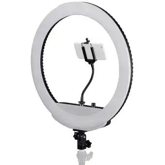 Netto Marken-Discount BRESSER MM-26AB Bi-Color LED Ringlicht 48W dimmbar mit Smartphonehalter und Fernauslöser Angebot
