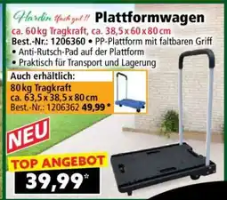 Norma Plattformwagen Angebot