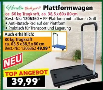 Norma Plattformwagen Angebot