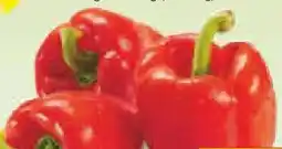 Netto Marken-Discount MarktTag Paprika rot Angebot