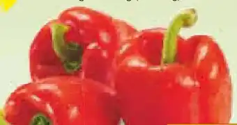 Netto Marken-Discount MarktTag Paprika rot Angebot