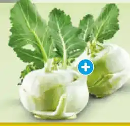 Netto Marken-Discount Kohlrabi Angebot
