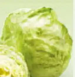 Netto Marken-Discount Heimat Eisbergsalat Angebot