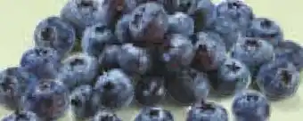 Netto Marken-Discount Heidelbeeren Angebot