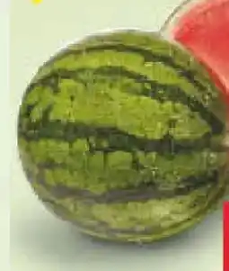Netto Marken-Discount MarktTag Mini-Wassermelone Angebot