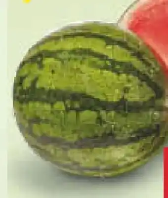 Netto Marken-Discount MarktTag Mini-Wassermelone Angebot