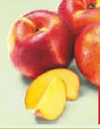 Netto Marken-Discount MarktTag Nektarinen Angebot
