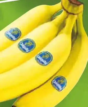 Netto Marken-Discount Chiquita Bananen Angebot