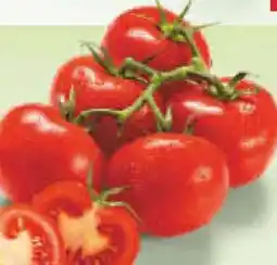 Netto Marken-Discount Rispentomaten Angebot
