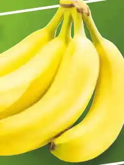 Netto Marken-Discount Bananen Angebot