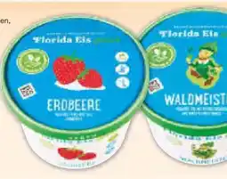 Netto Marken-Discount Florida Eis Angebot