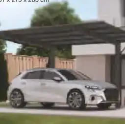 Netto Marken-Discount Azur Aluminium Carport Sky Typ 80 Angebot