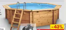 Netto Marken-Discount Interline Holzpool Java Angebot