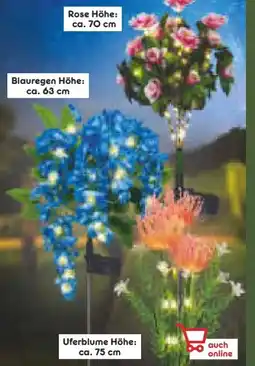 Netto Marken-Discount LED-Solar-Blumen Angebot