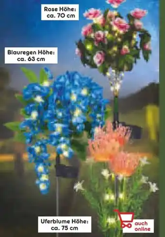 Netto Marken-Discount LED-Solar-Blumen Angebot