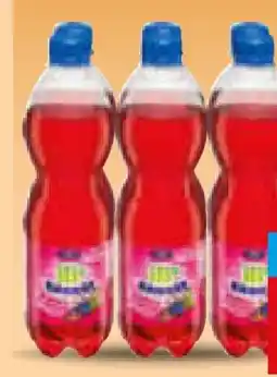 Netto Marken-Discount Ileburger Sachsenquelle Brause Angebot