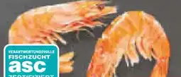 Netto Marken-Discount Crevettes Roses Angebot